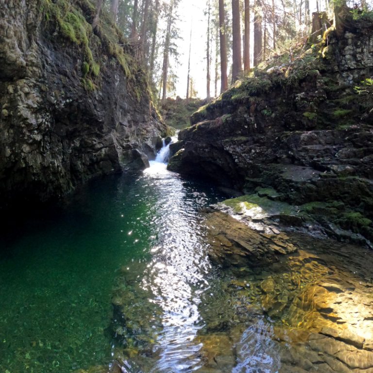 Schwarzwasserbach_08