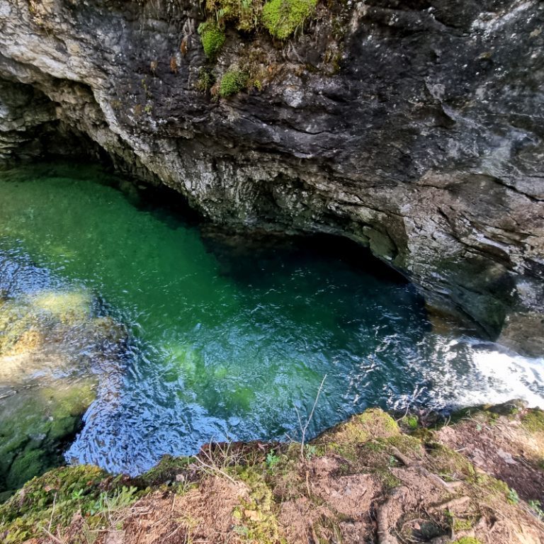 Schwarzwasserbach_13