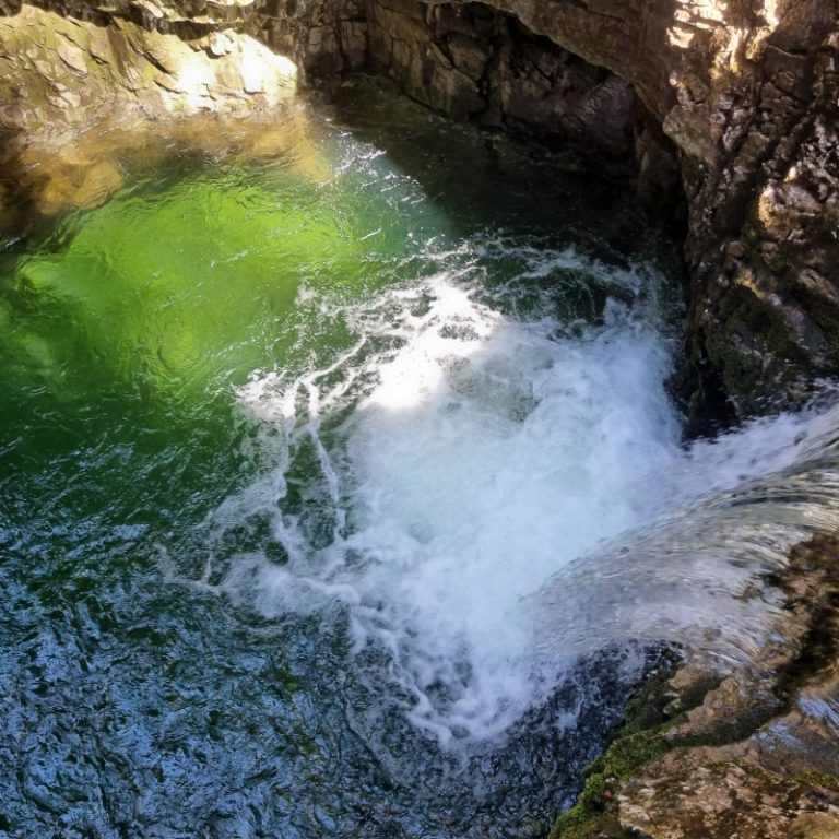 Schwarzwasserbach_14